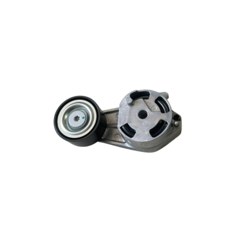 Tensor de Correa Poly-V BMW