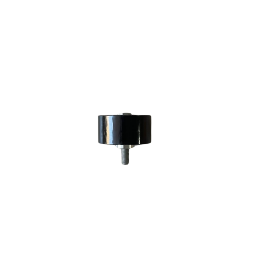 Tensor de Correa Poly-V BMW